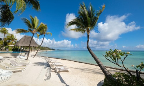 Ambre Mauritius